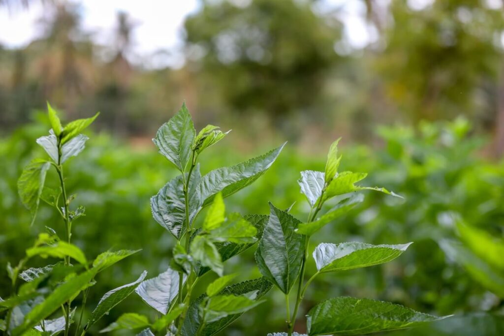 WhatsApp Image 2025-04-14 at 15.47.55_43739d89