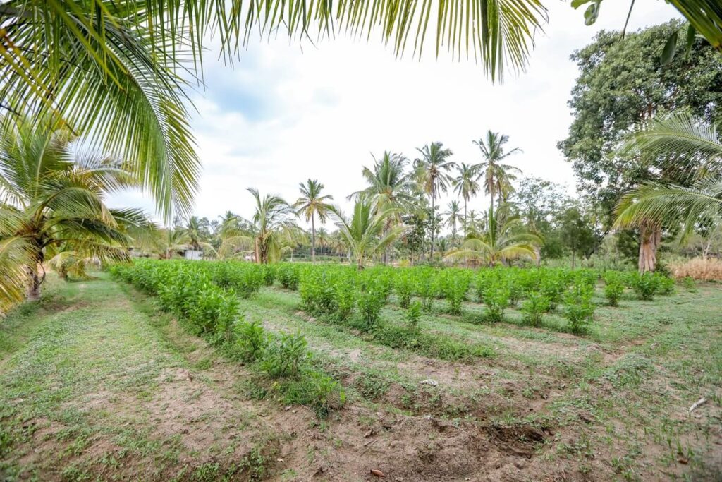 WhatsApp Image 2025-04-14 at 16.26.43_c4793be5