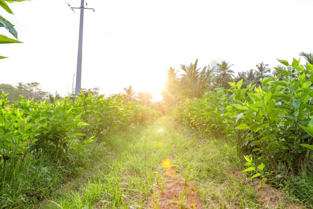 WhatsApp Image 2025-04-14 at 16.30.54_6fdc9873