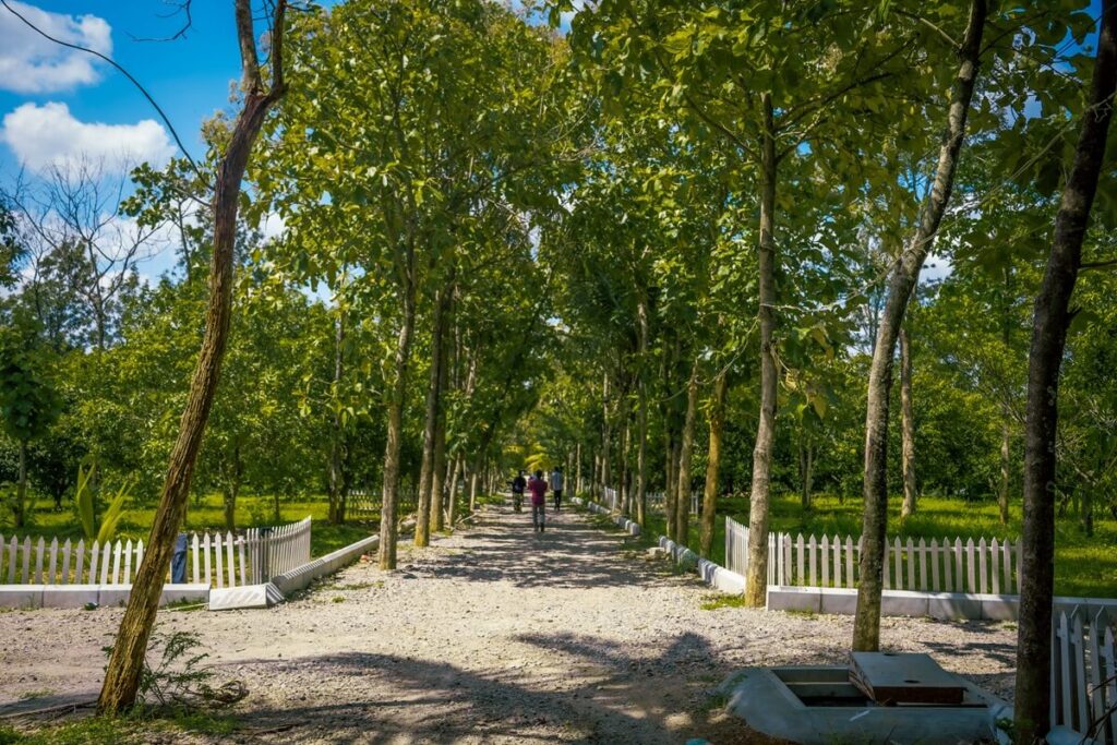 frute cocktails 1-45