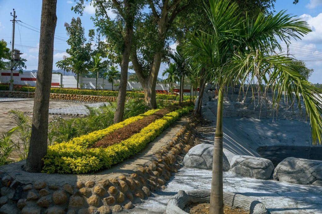 frute cocktails 1-55