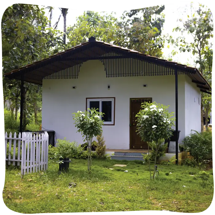 Arinaa-01