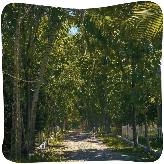 Arinaa-02