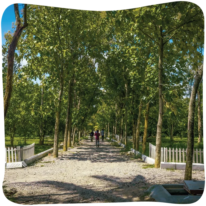 Arinaa-03