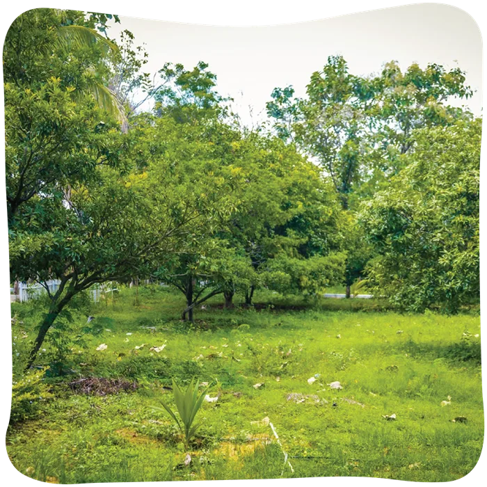 Arinaa-05