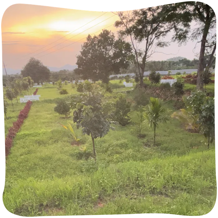 bellevuee-05