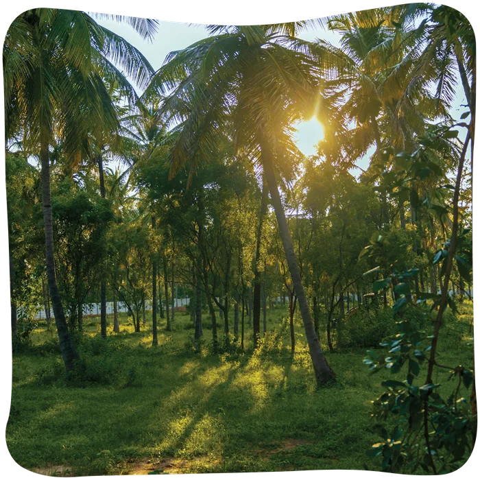 bellevuee-07