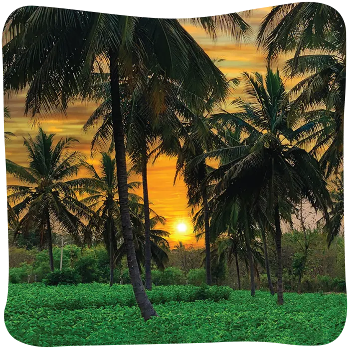 jagati-02