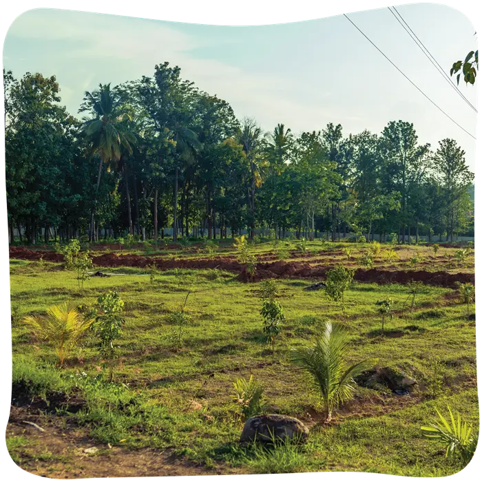 jagati-04