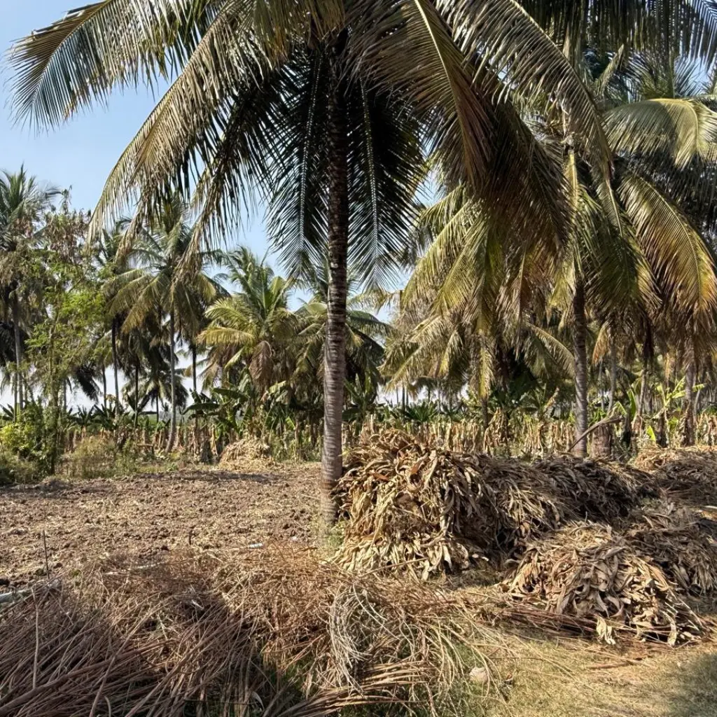 Untitled design (3) (1)