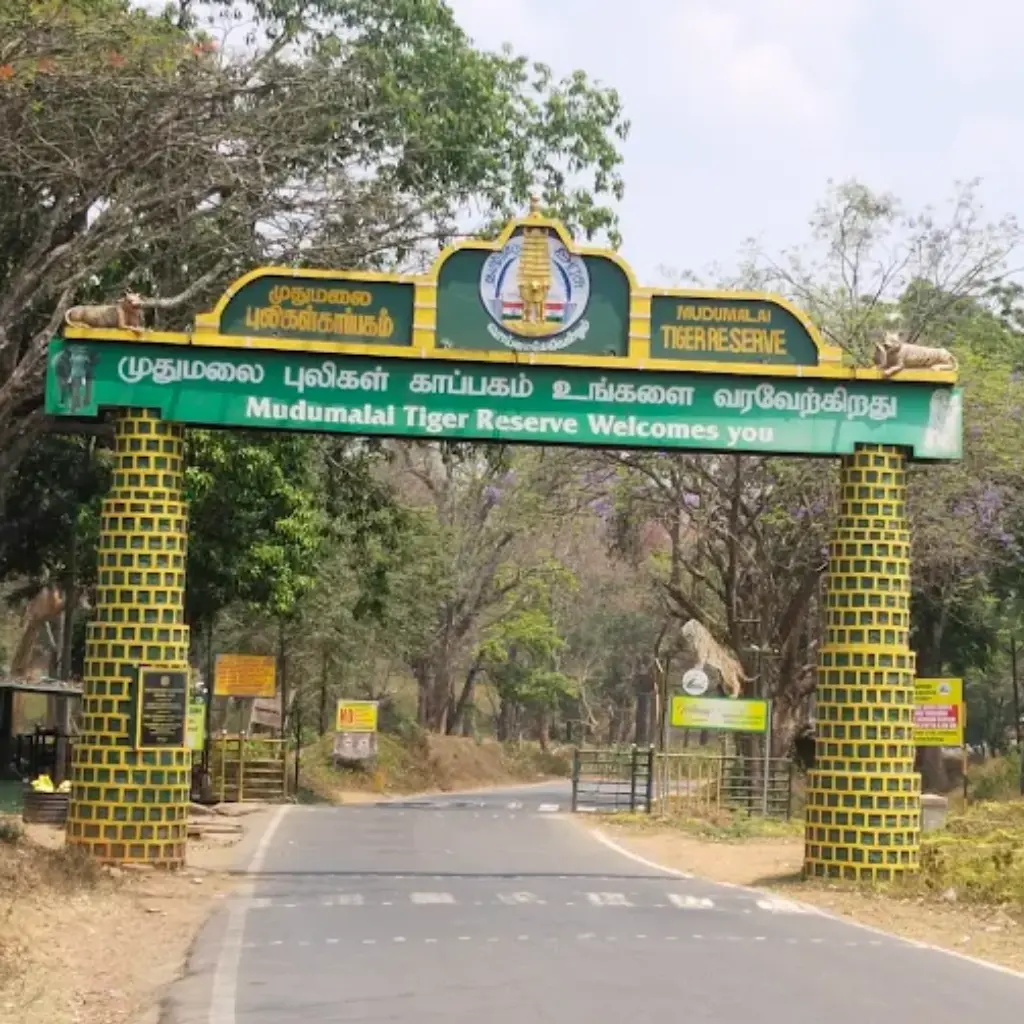 Mudumalai National Park