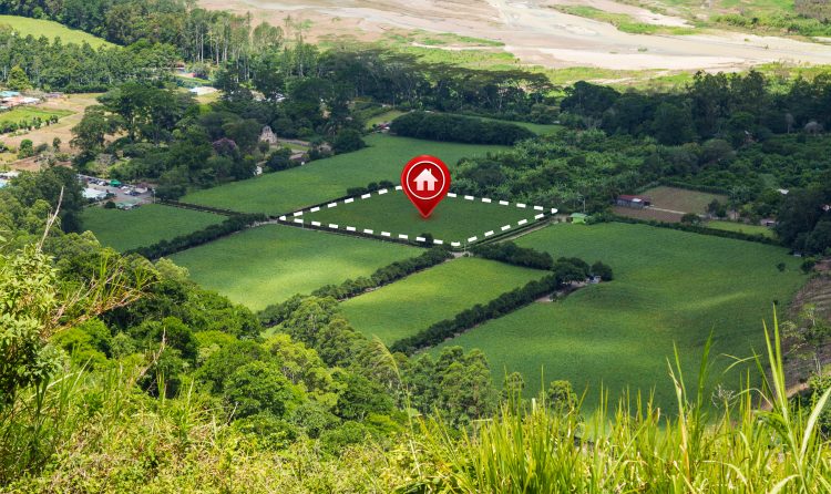 Farmplots near bangalore