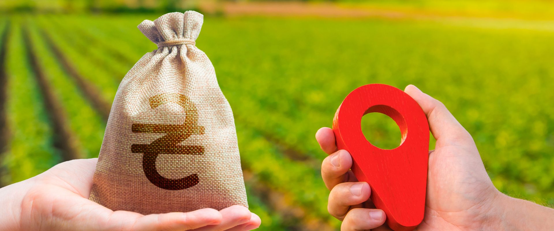 Managed Farmland Investment