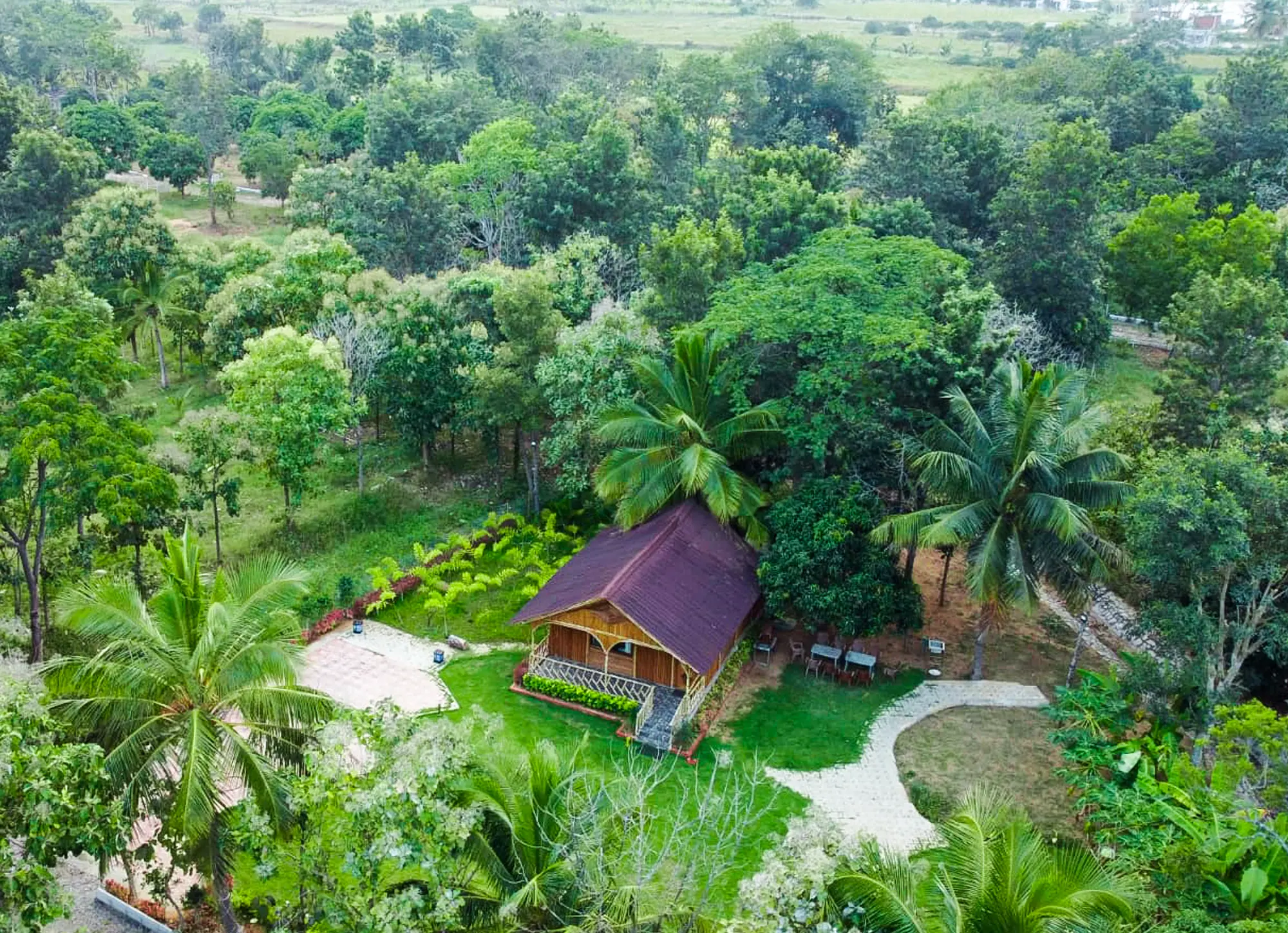 Nature 4